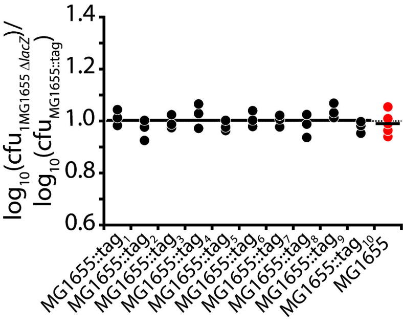 Supplementary Fig. 3