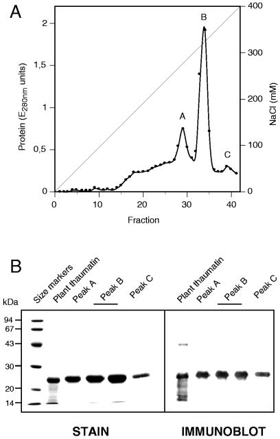 FIG. 6