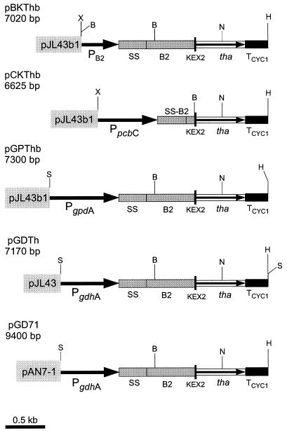 FIG. 1