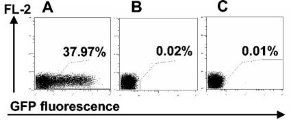 FIG. 5.