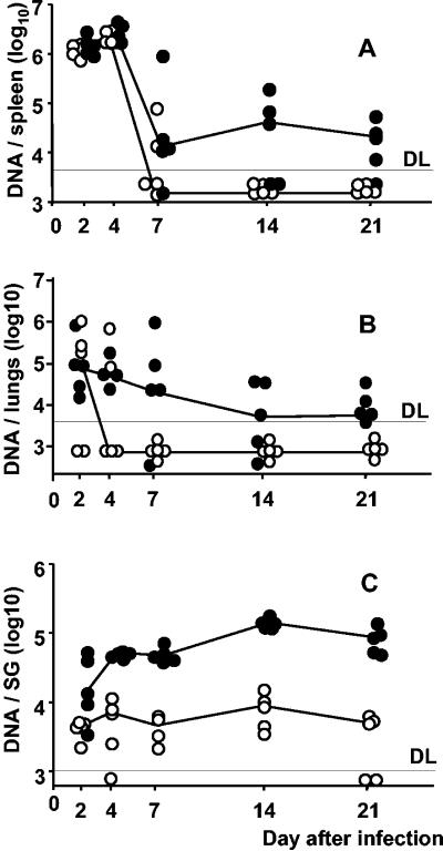 FIG. 2.