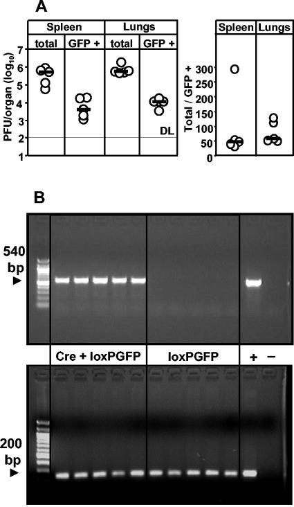 FIG. 6.