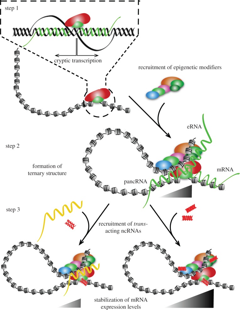 Figure 2.