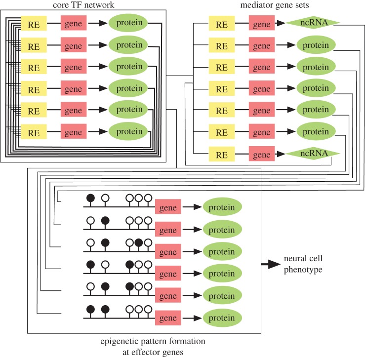 Figure 1.