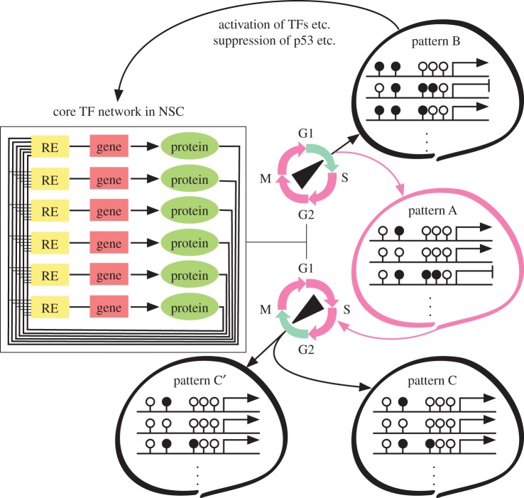 Figure 3.