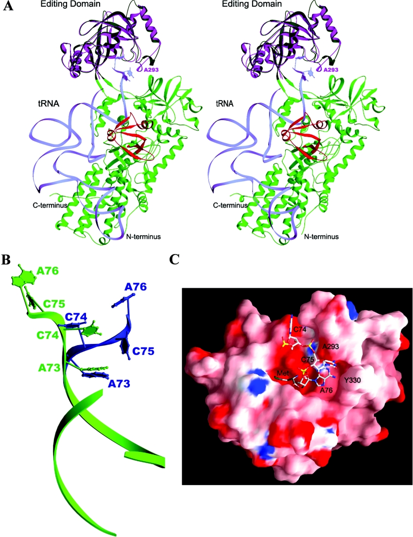 Figure 4