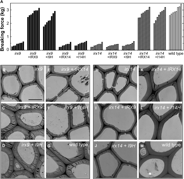 Figure 4.