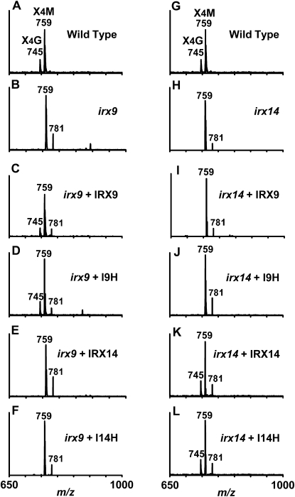 Figure 5.