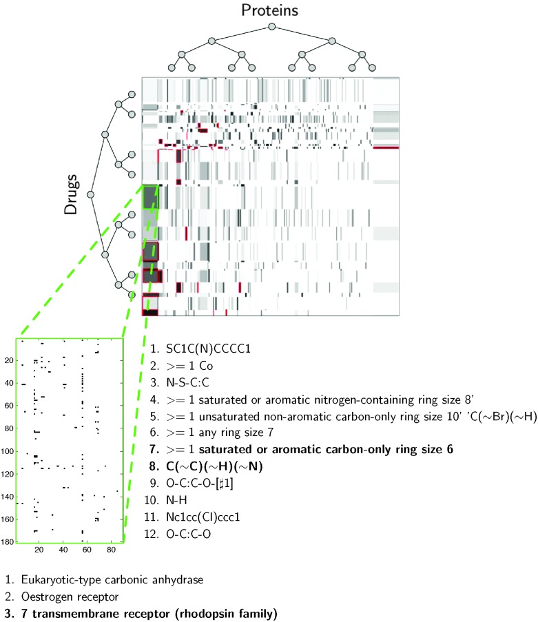 Fig. 6