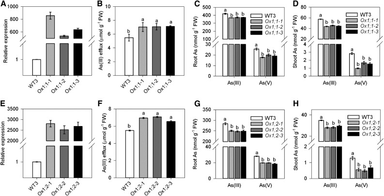 Figure 7.