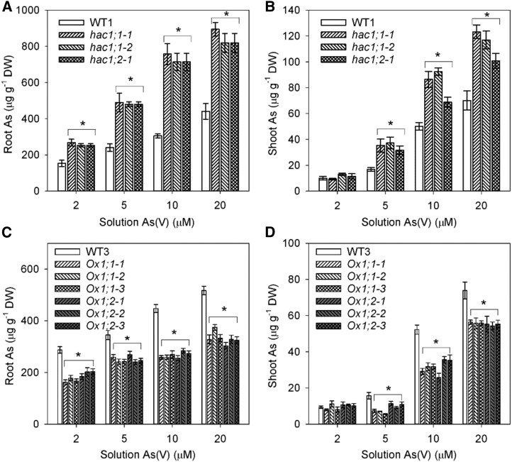 Figure 6.