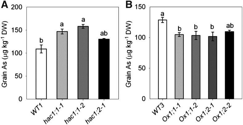 Figure 10.