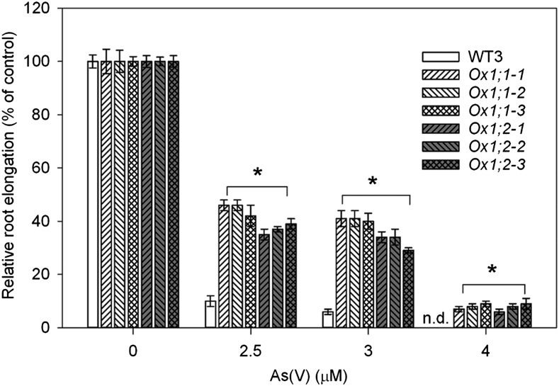 Figure 9.