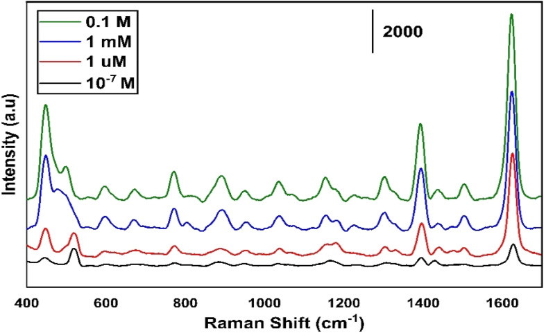 Fig. 6