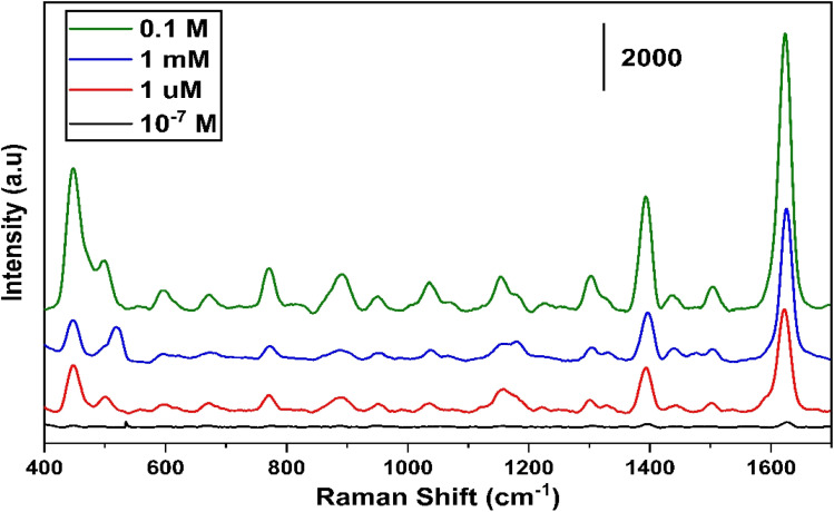 Fig. 12