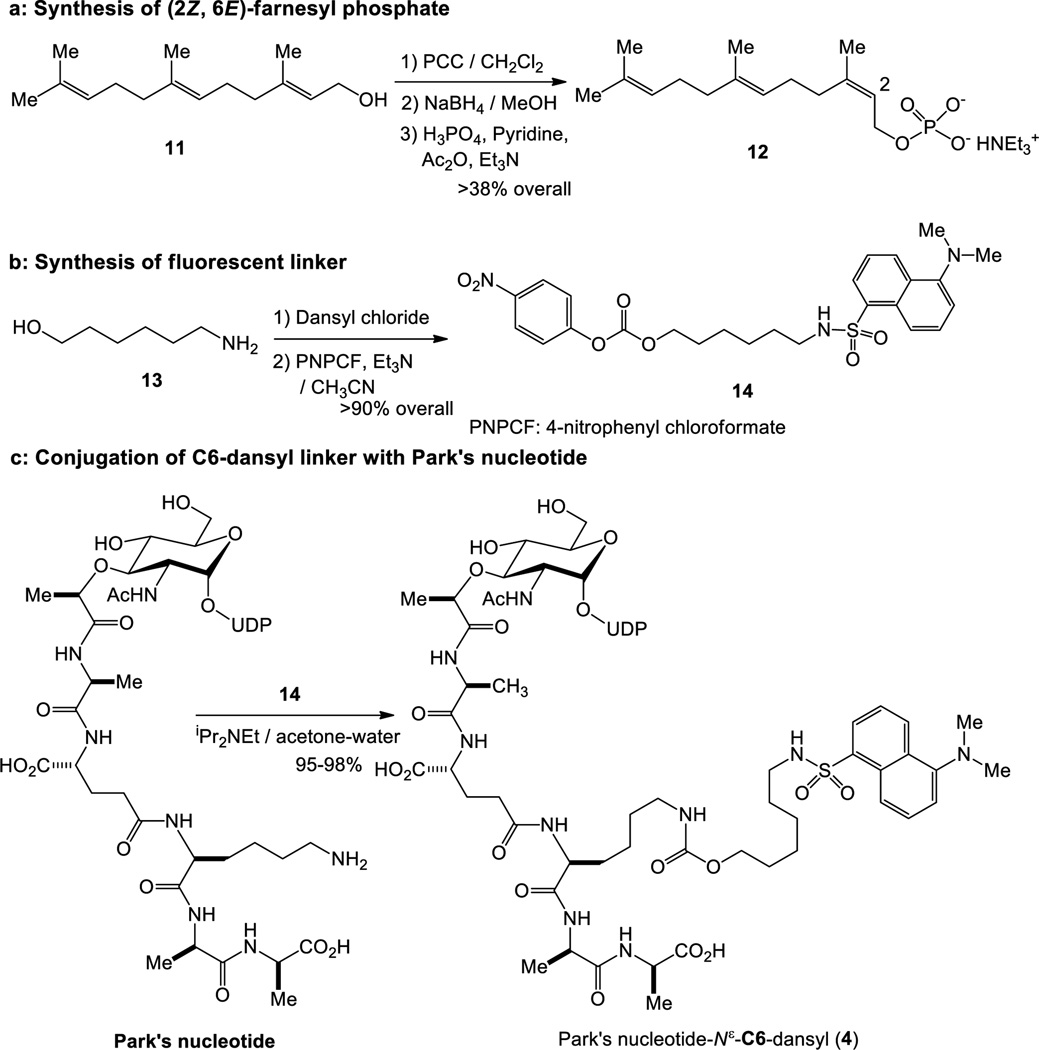 Scheme 1