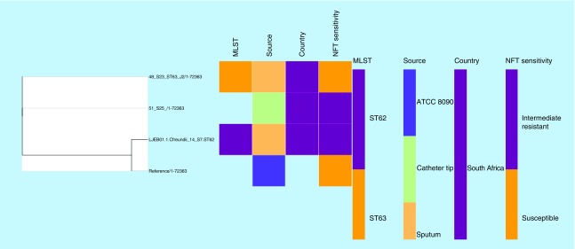 Figure 4. 