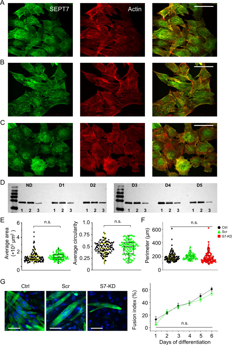 Figure 3—figure supplement 1.