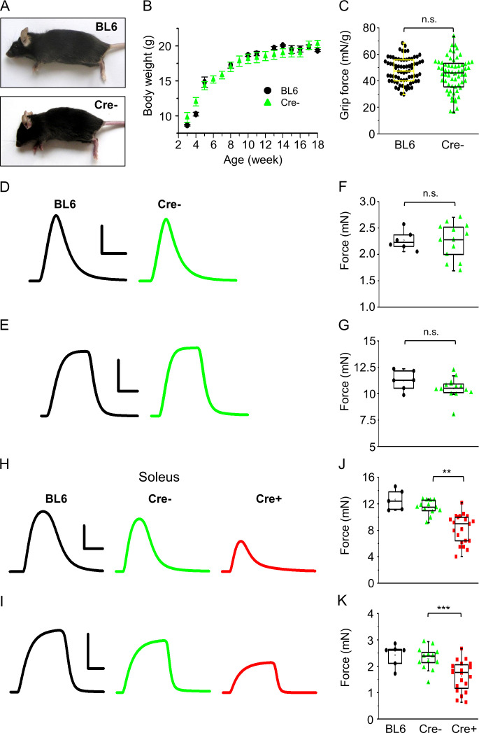 Figure 2—figure supplement 2.