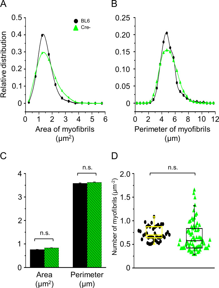 Figure 4—figure supplement 1.