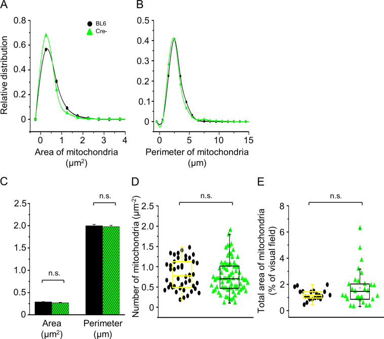 Figure 5—figure supplement 1.