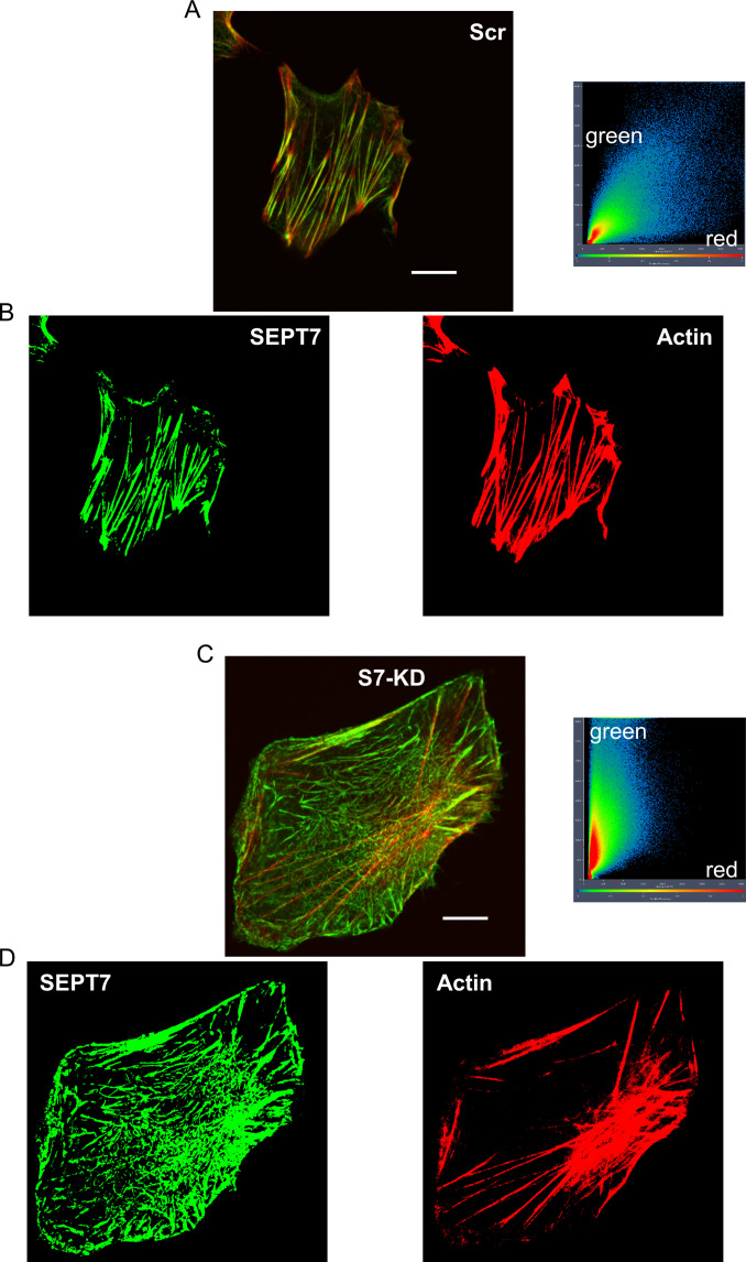 Figure 3—figure supplement 2.