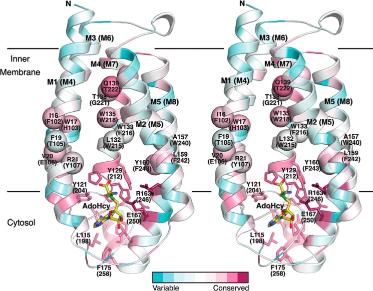 FIGURE 11.