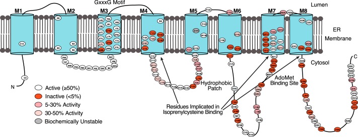 FIGURE 6.