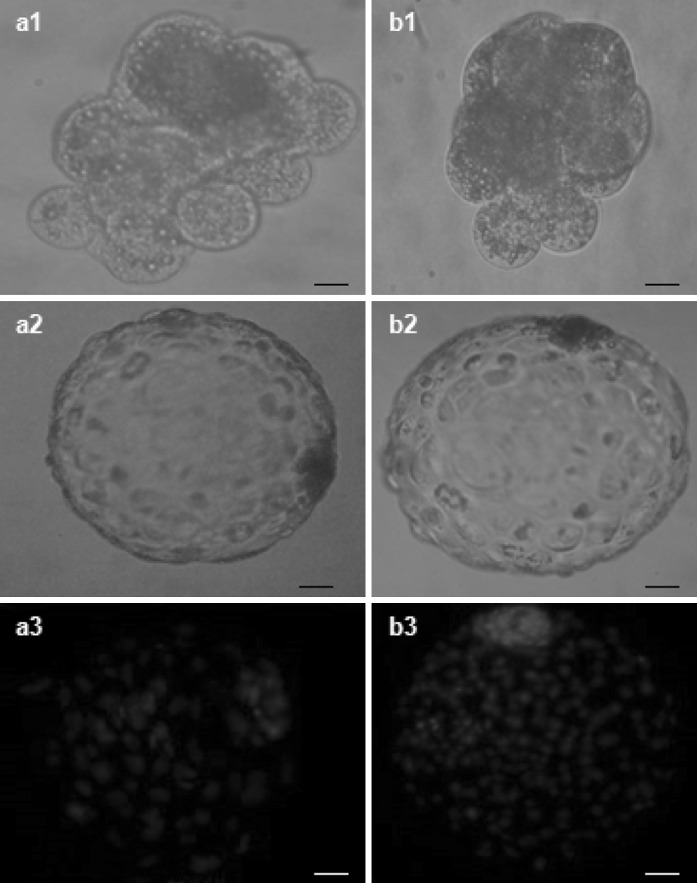 Fig. 6