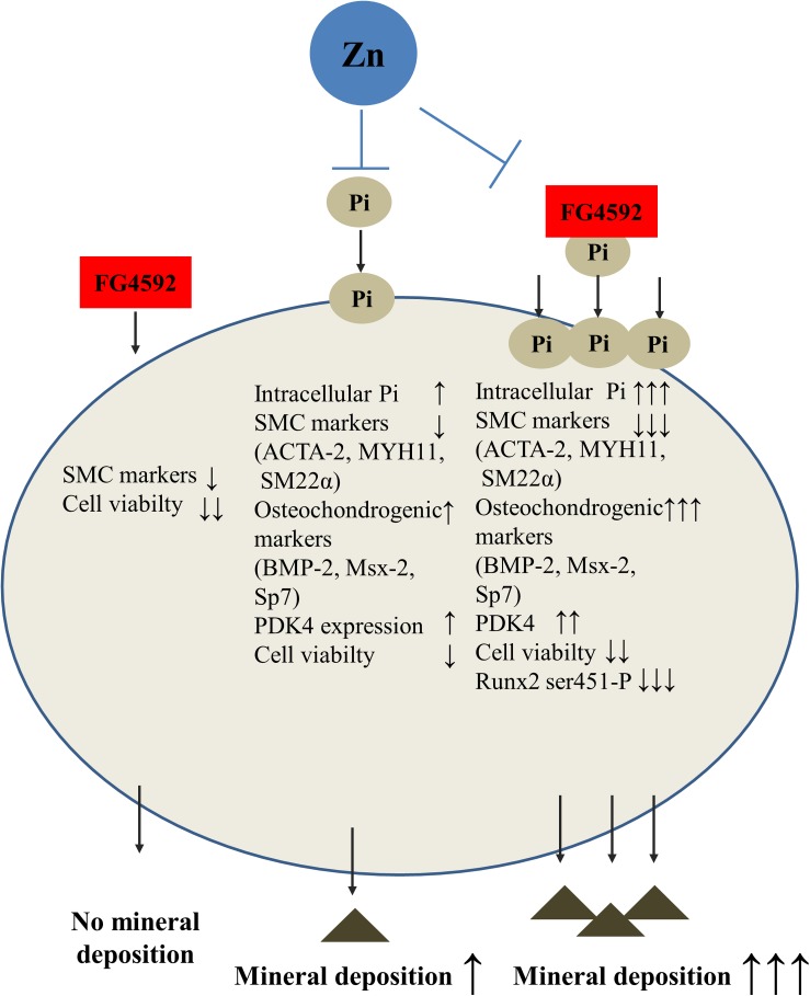 FIGURE 9