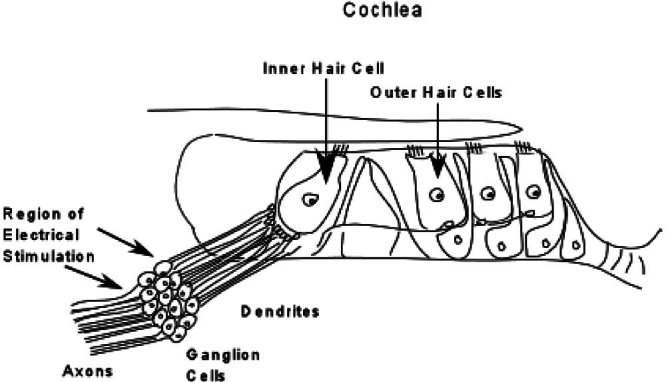 Figure 7