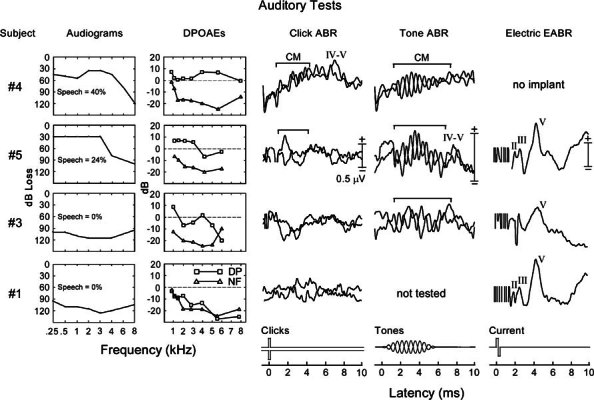 Figure 4