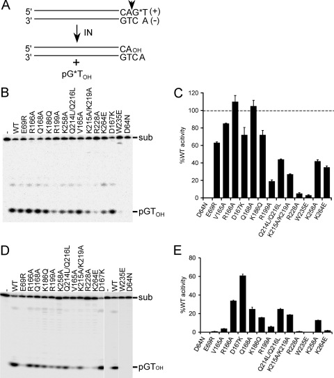 Fig 1