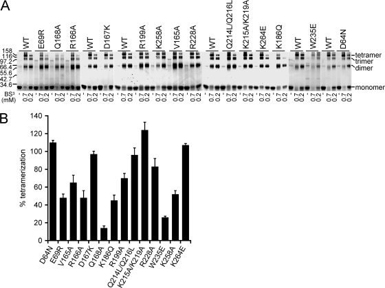 Fig 12