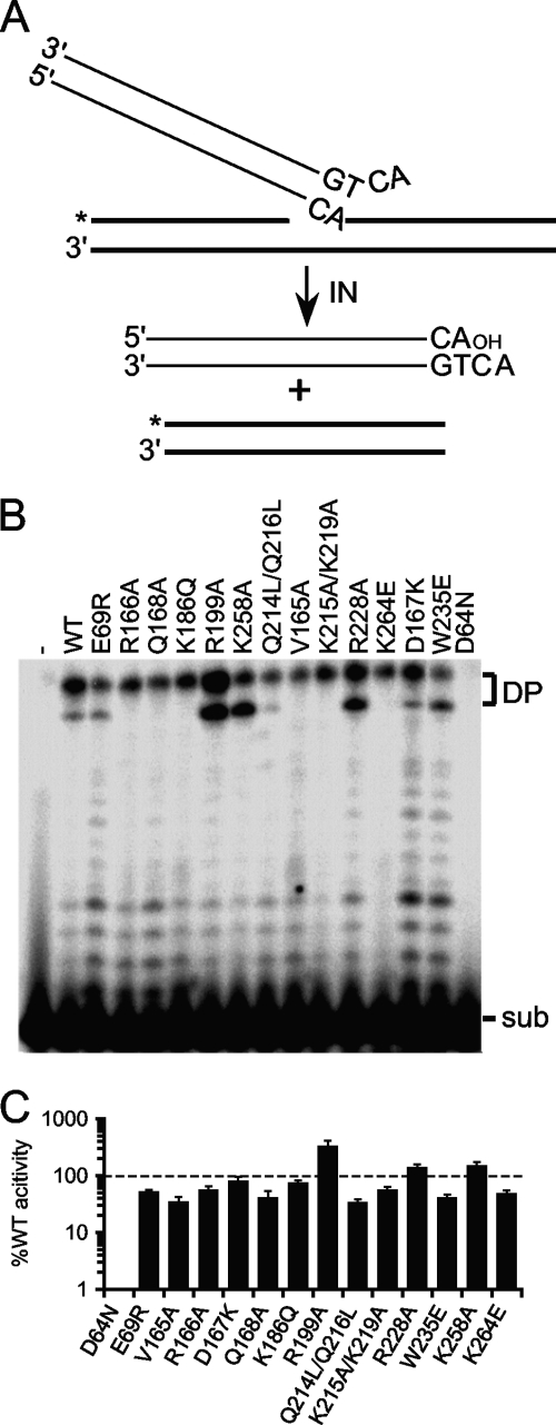 Fig 3