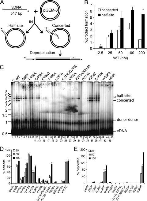 Fig 4