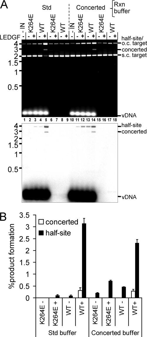 Fig 6