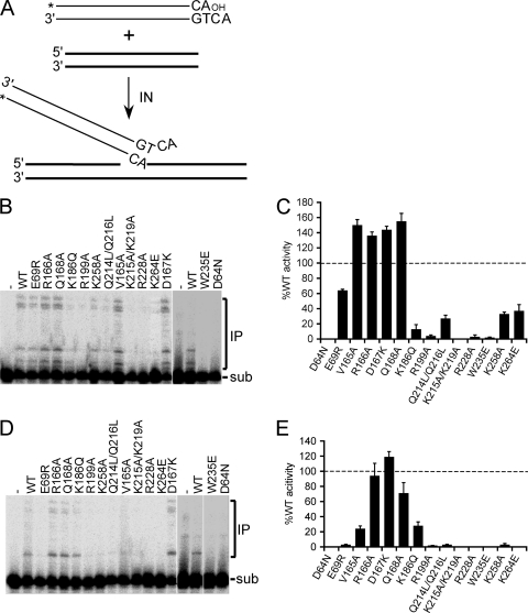 Fig 2