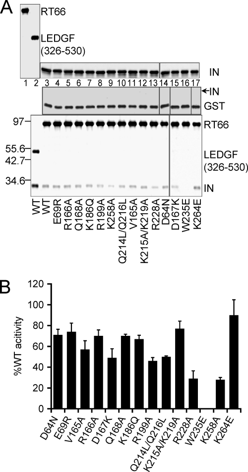 Fig 11