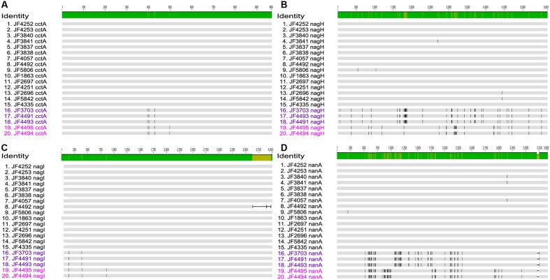 FIGURE 3