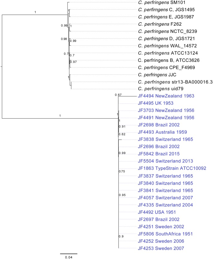 FIGURE 1