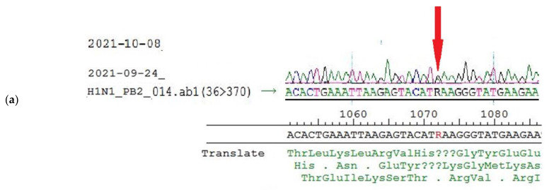 Figure 7