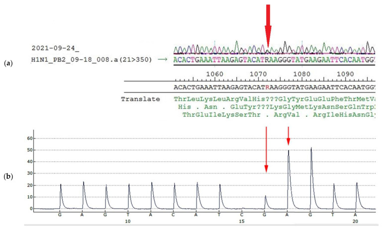 Figure 6