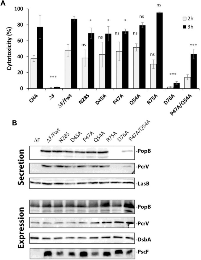 FIGURE 2