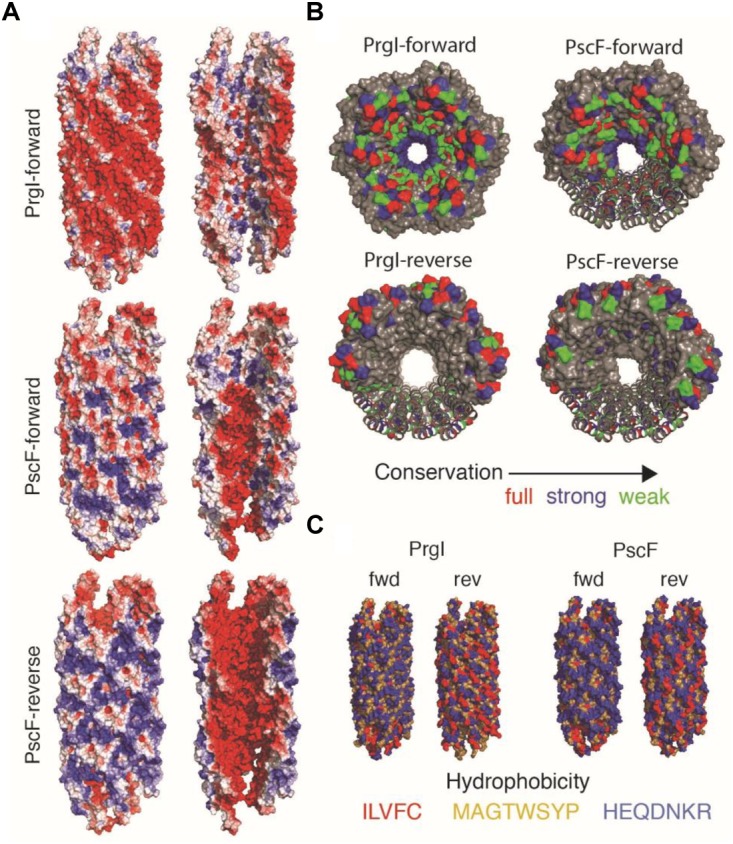 FIGURE 6