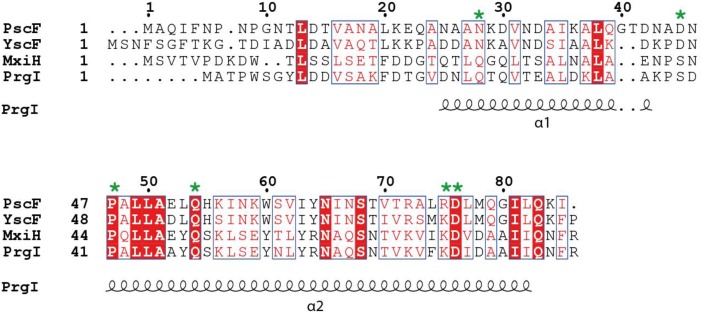 FIGURE 1