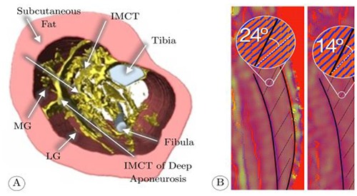 Fig 7