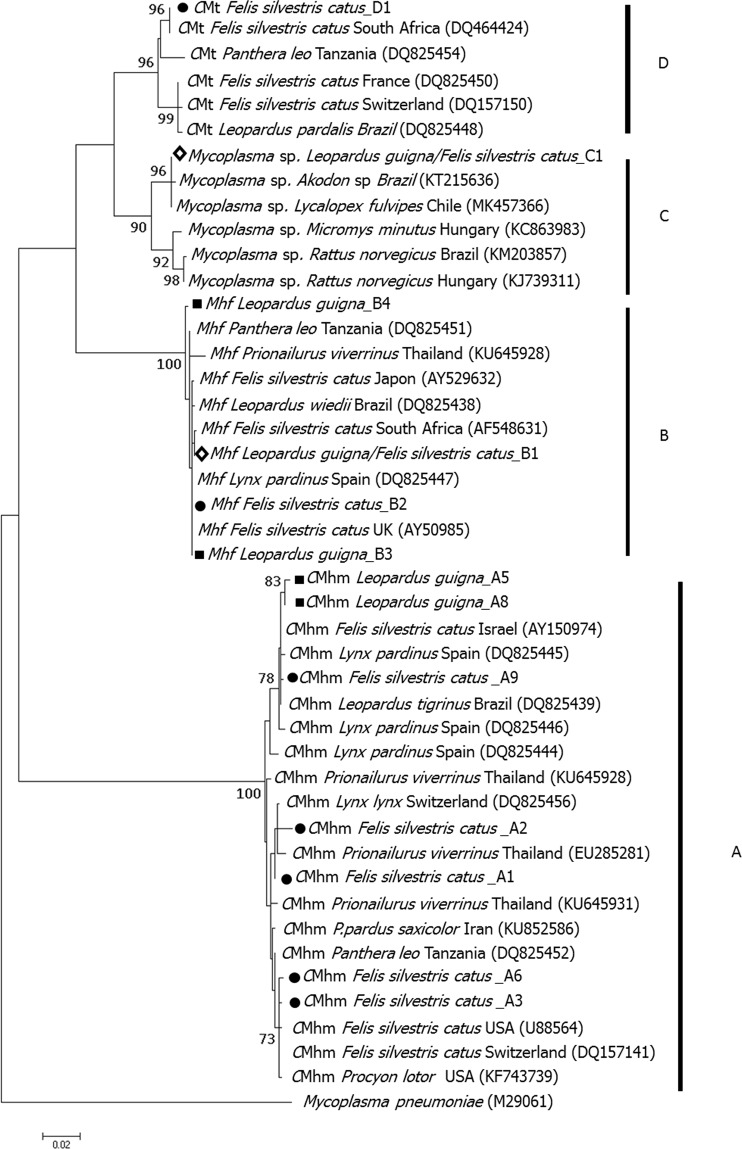 Figure 2