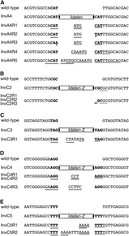 Figure 4.—