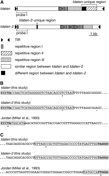 Figure 2.—